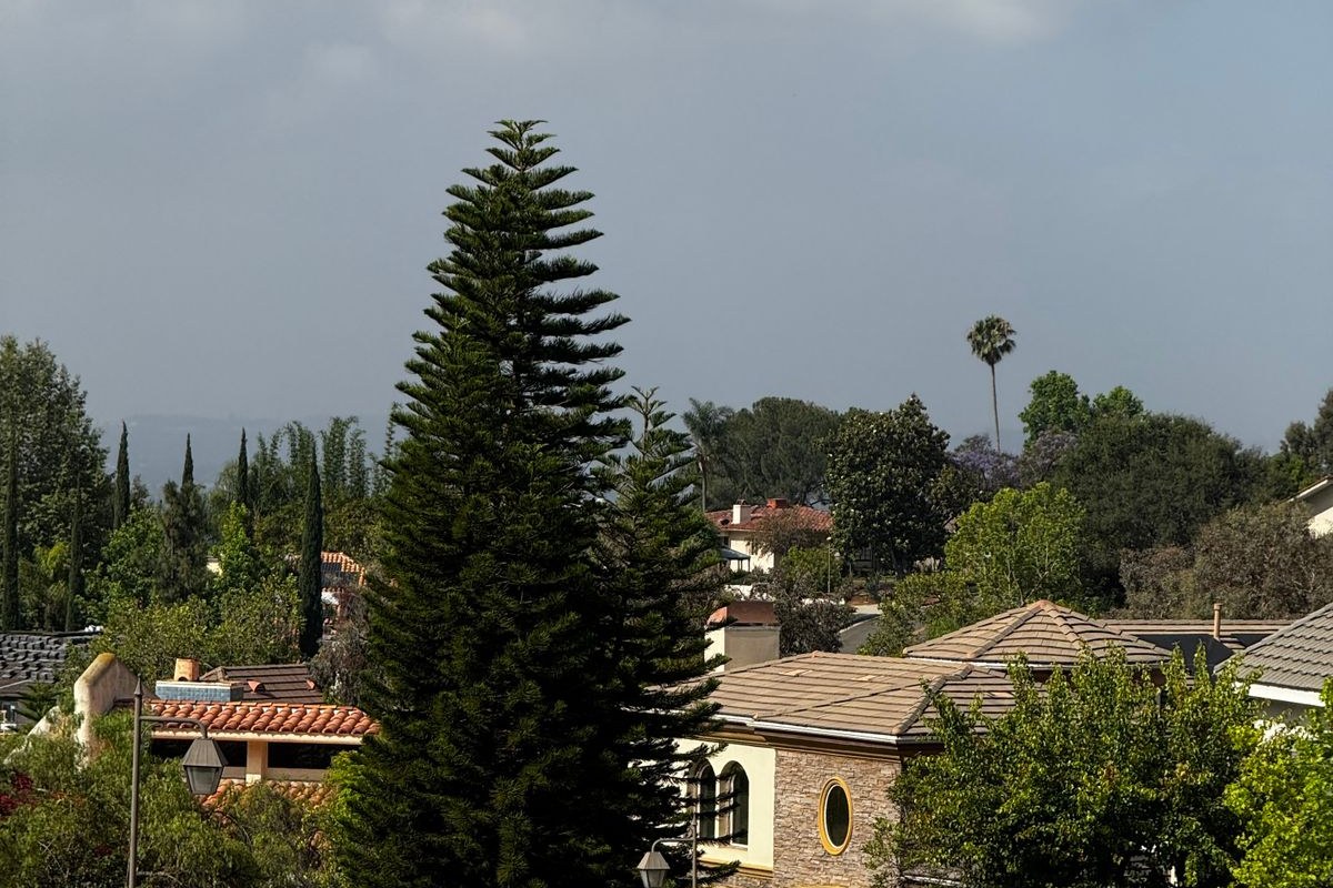 Dark storm clouds gathering over a Southern California suburban street with a palm tree and tile-roof homes